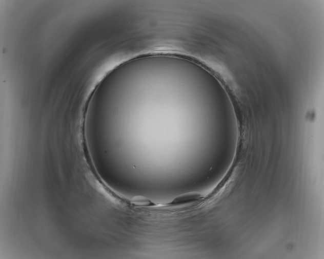 X0000097831374200803141135