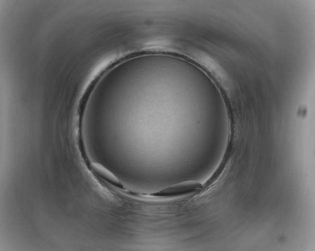 X0000097831376200803141135