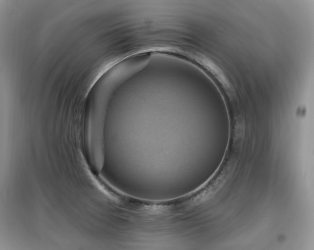 X0000097831377200803141135