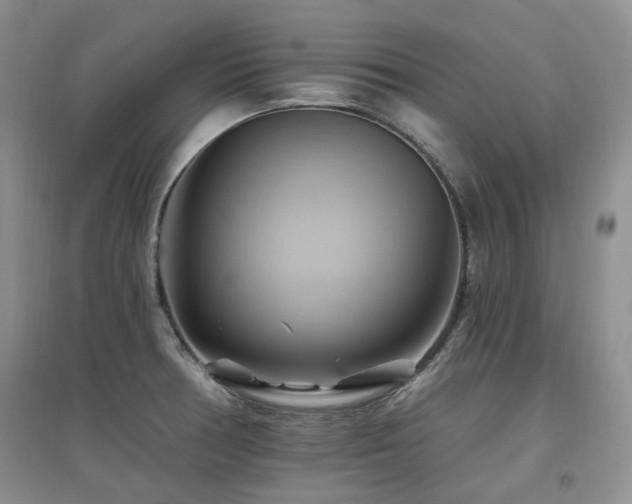 X0000097831378200803141135