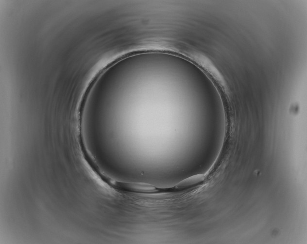 X0000097831380200803141135