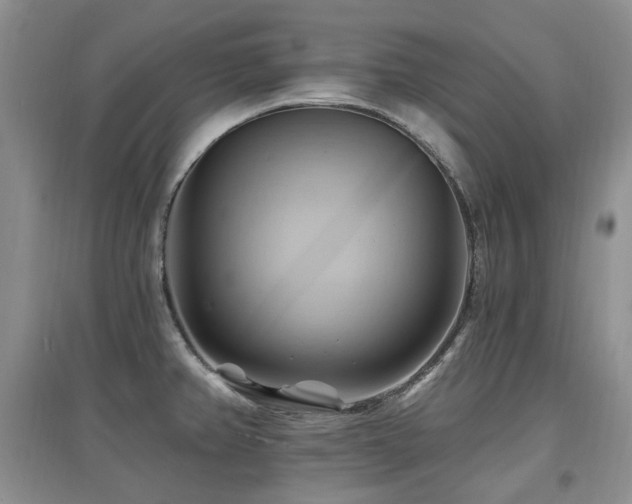 X0000097831382200803141135