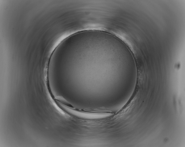 X0000097831383200803141135