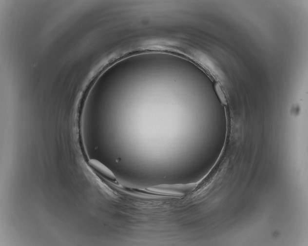 X0000097831384200803141135