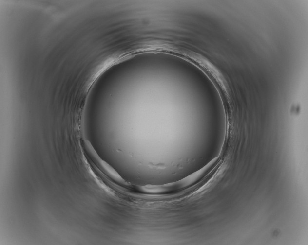 X0000097831385200803141135