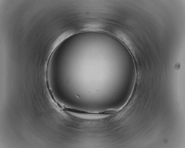 X0000097831386200803141135