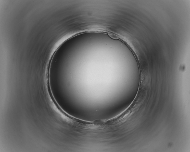 X0000097831387200803141135