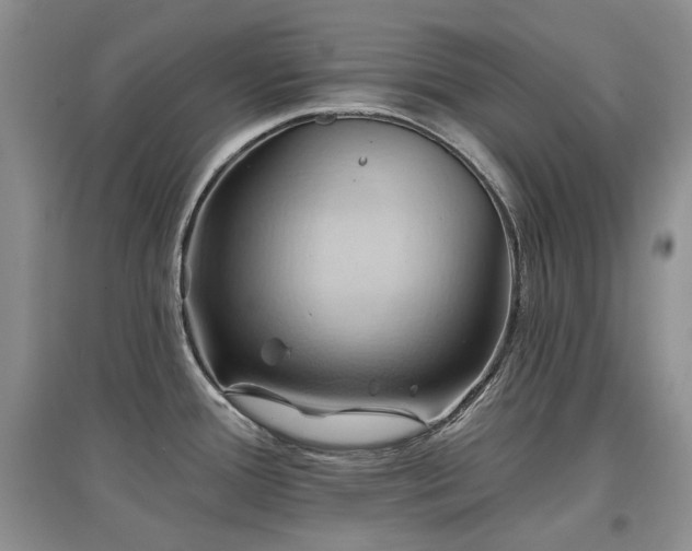 X0000097831388200803141135