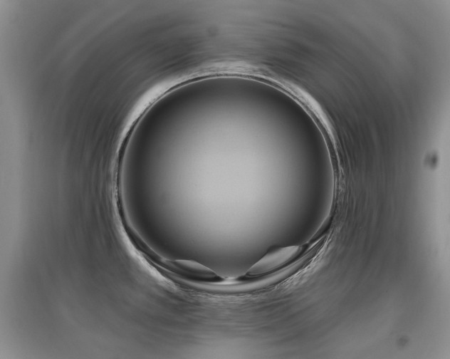 X0000097831389200803141135