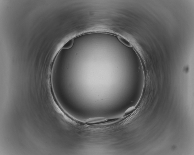 X0000097831390200803141135