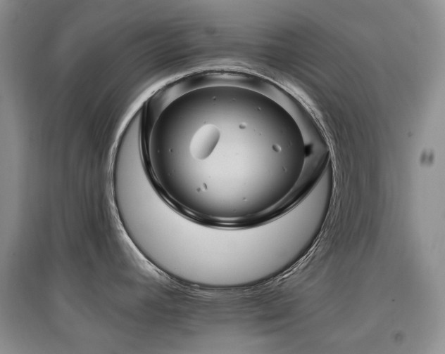 X0000097831392200803141135