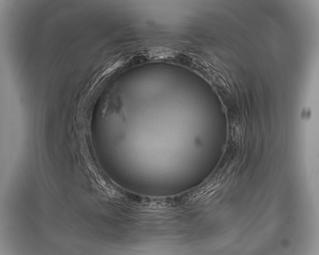 X0000097831393200803141134