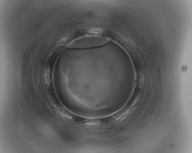 X0000097831394200803141134