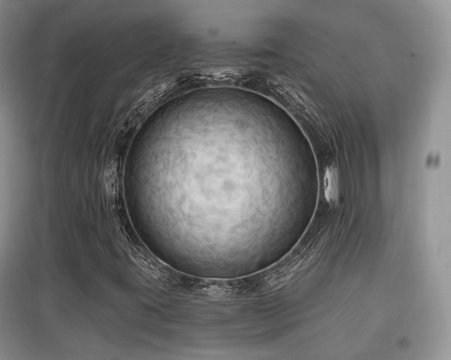 X0000097831395200803141134