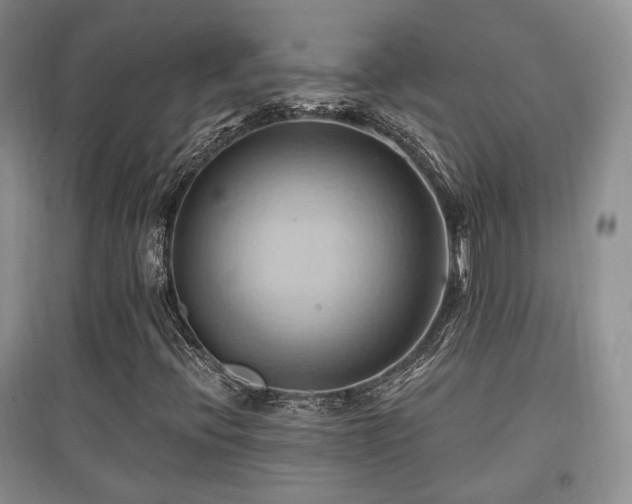 X0000097831396200803141135