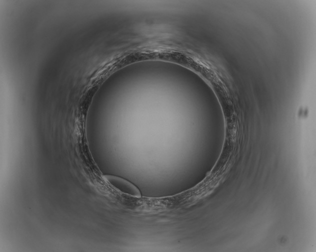 X0000097831397200803141135