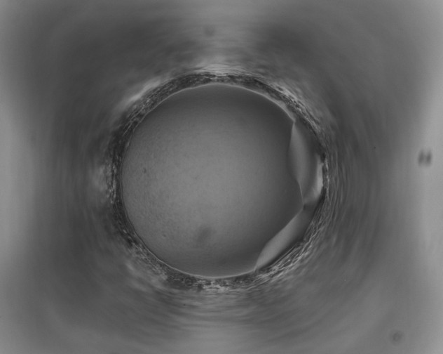 X0000097831398200803141135