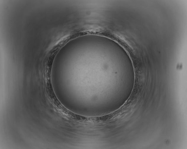 X0000097831399200803141135