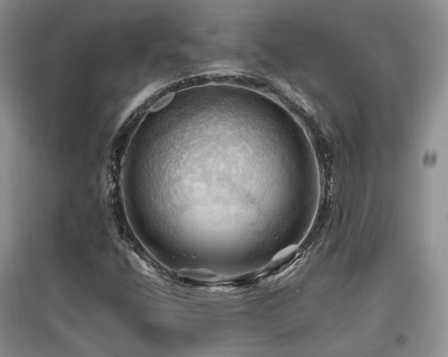 X0000097831400200803141135
