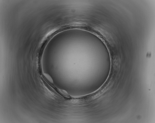 X0000097831402200803141135