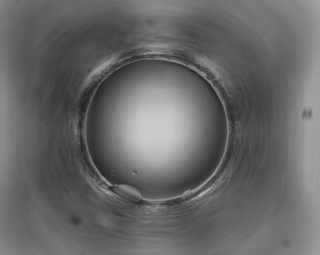 X0000097831403200803141135