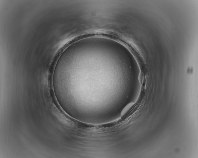 X0000097831404200803141135