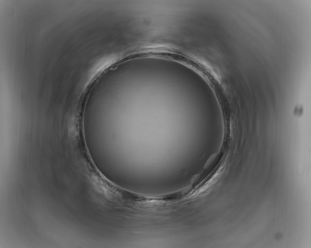 X0000097831405200803141135