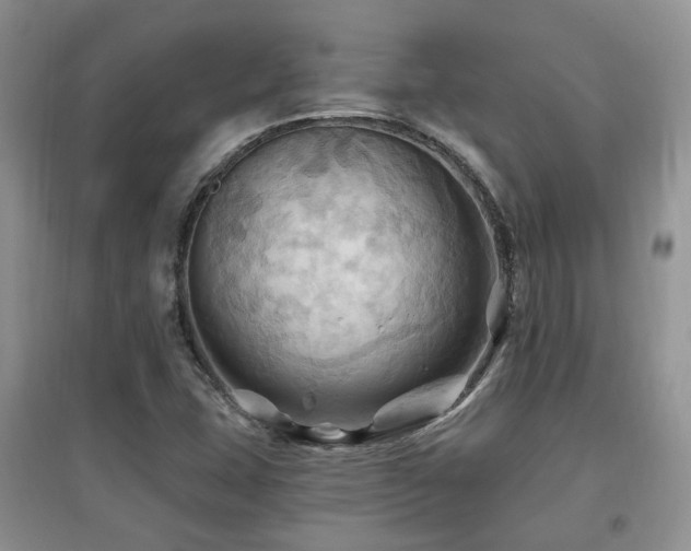 X0000097831407200803141135