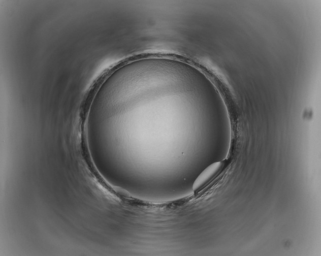 X0000097831408200803141135