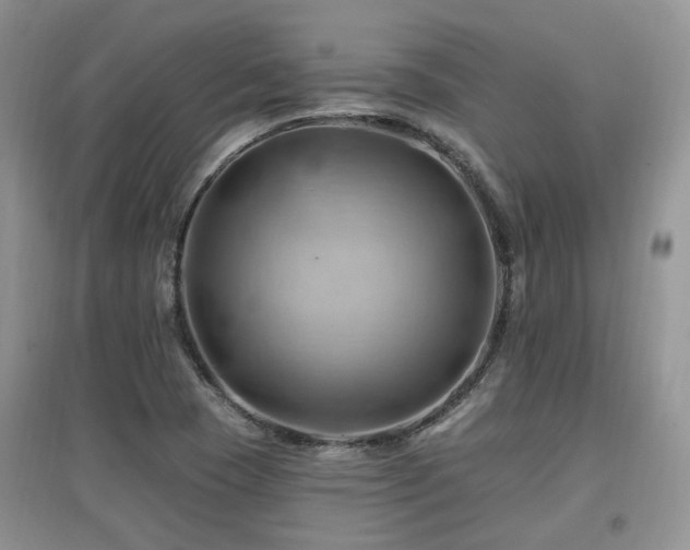 X0000097831409200803141135