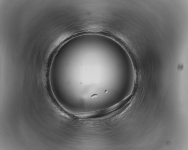 X0000097831410200803141135