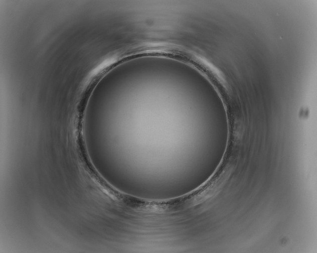 X0000097831411200803141135