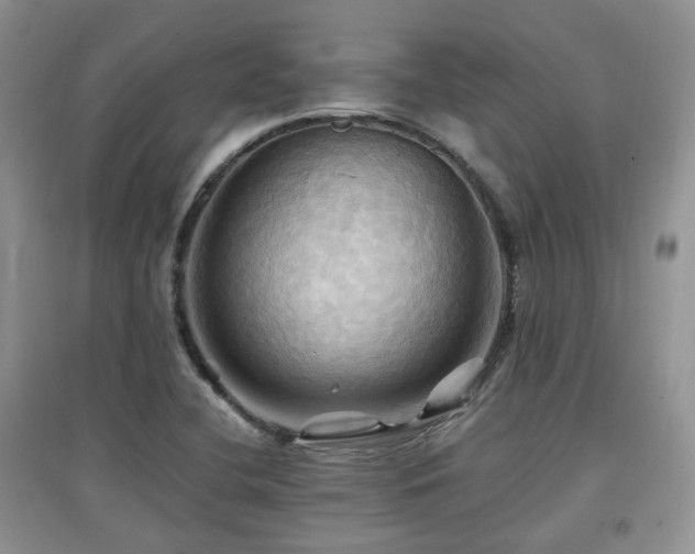 X0000097831412200803141135