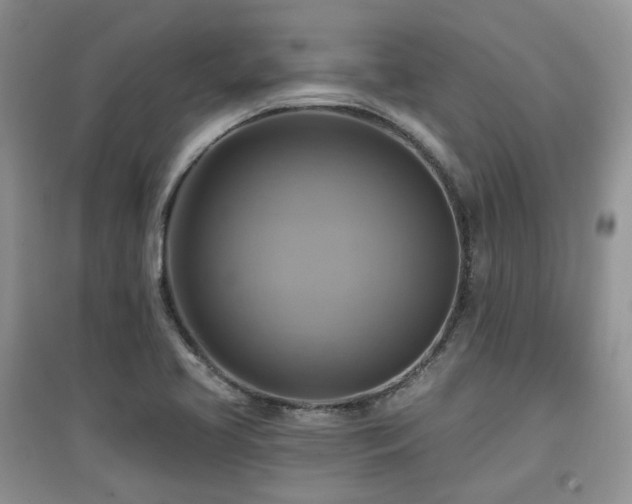 X0000097831413200803141135