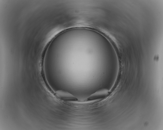 X0000097831415200803141135