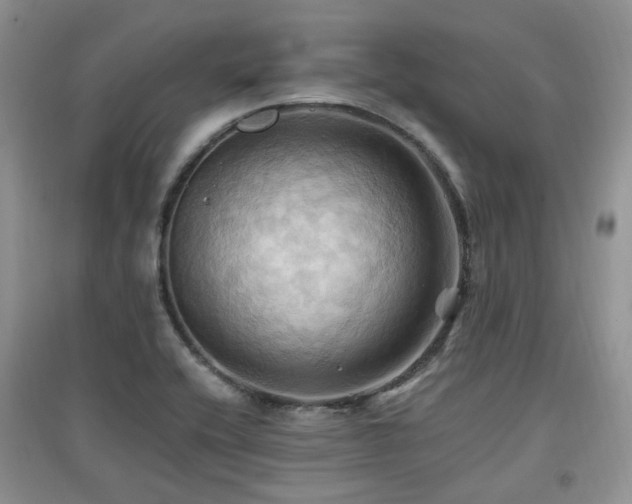 X0000097831416200803141135