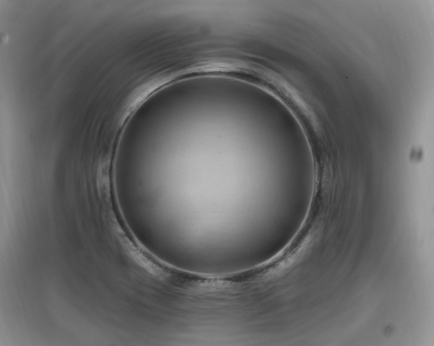 X0000097831417200803141135