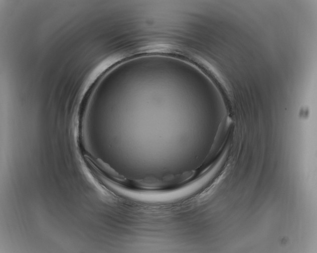 X0000097831418200803141135