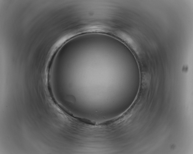 X0000097831419200803141135