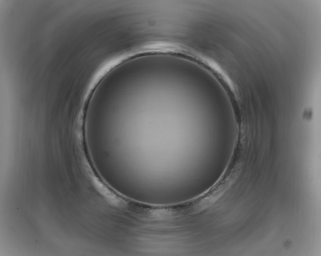 X0000097831421200803141135
