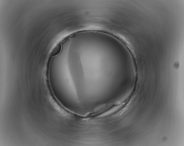 X0000097831422200803141135