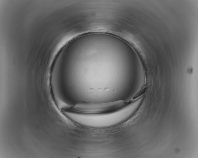 X0000097831424200803141135