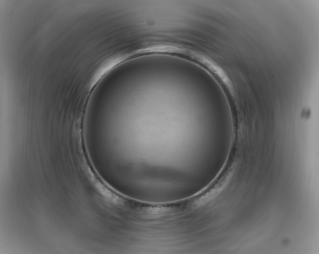 X0000097831425200803141135
