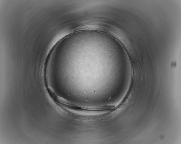 X0000097831426200803141135