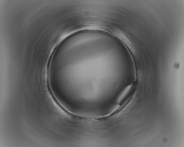 X0000097831428200803141135