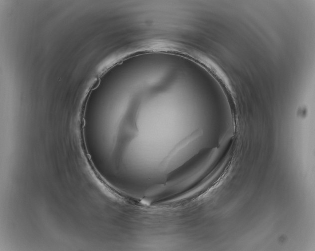 X0000097831429200803141135