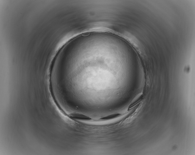 X0000097831430200803141135