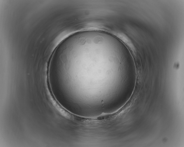 X0000097831431200803141135