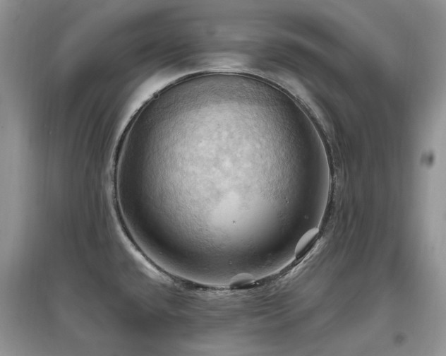 X0000097831432200803141135
