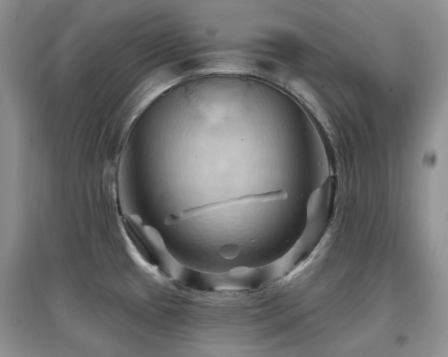 X0000097831433200803141135